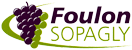 Foulon Sopagly Novateur pur jus